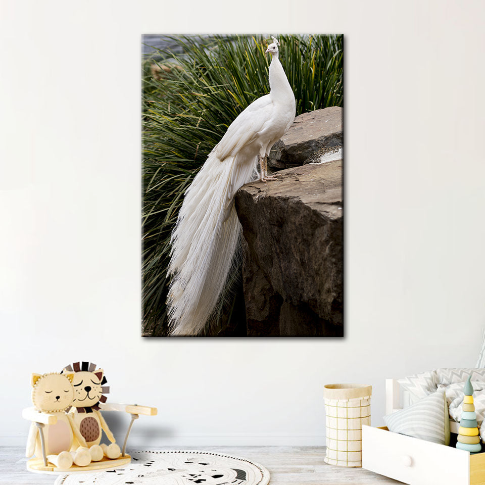 Regal Albino Peacock - Canvas Wall Art Painting | Bowlift