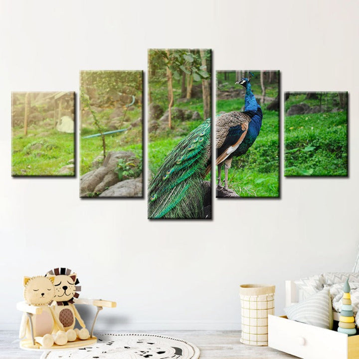 5 Piece Dignified Sunlit Peacock - Canvas Wall Art Painting | Bowlift