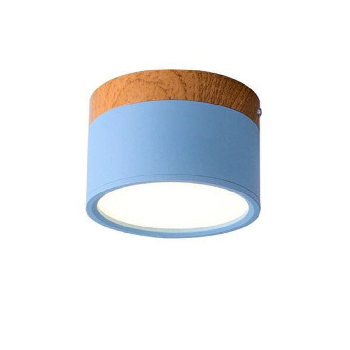 Morandi Style Modern LED Ceiling Lamp - LumiModo | Bowlift