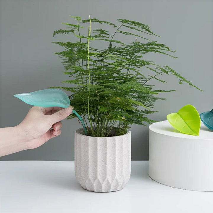 BowLift | Funny Watering Leaves (6pcs)