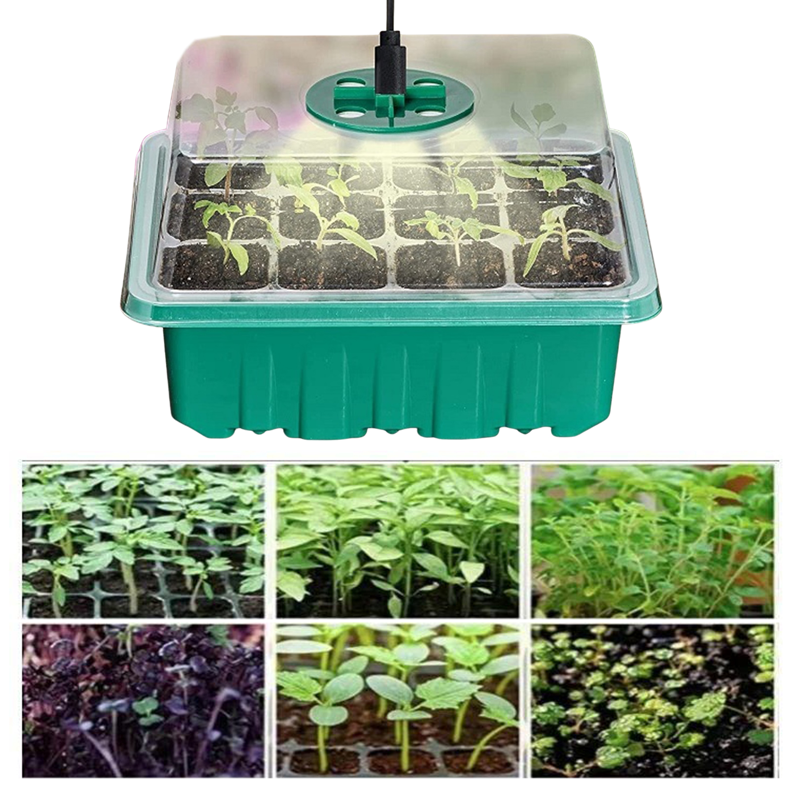 BowLift | Grow kit with light – Complete set for successful plant cultivation