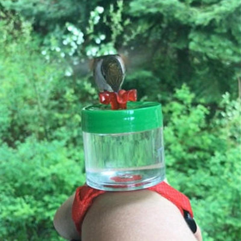 BowLift | Original Hummingbird Wrist Feeder