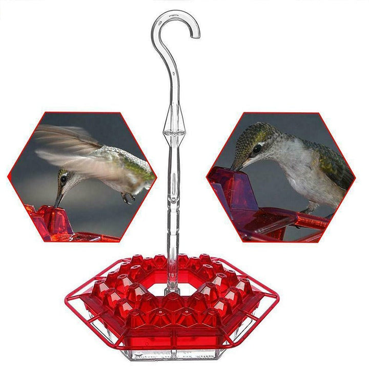 BowLift | New Hummingbird Feeder