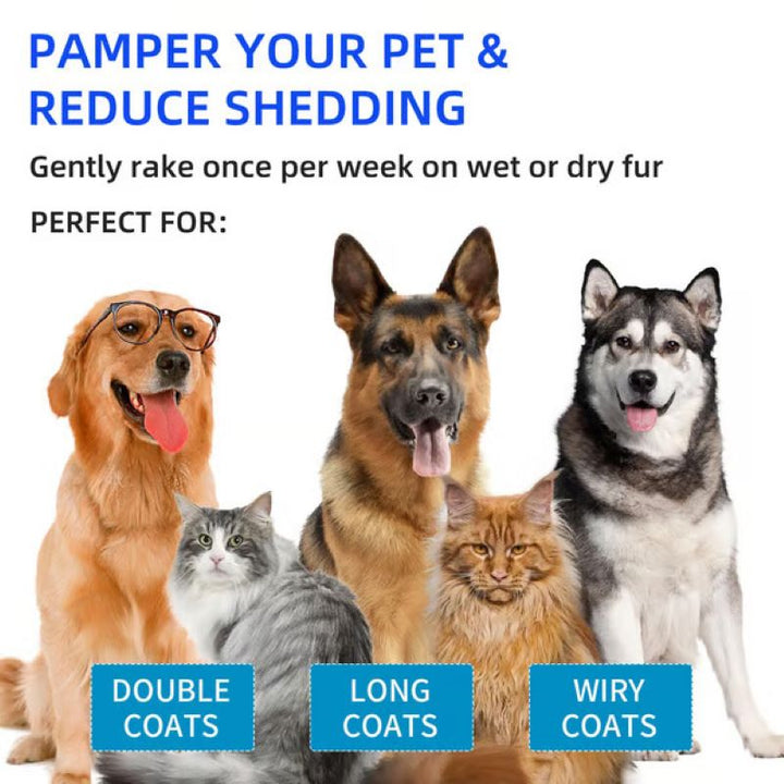 BowLift | Pet Spray Hair Removal Comb