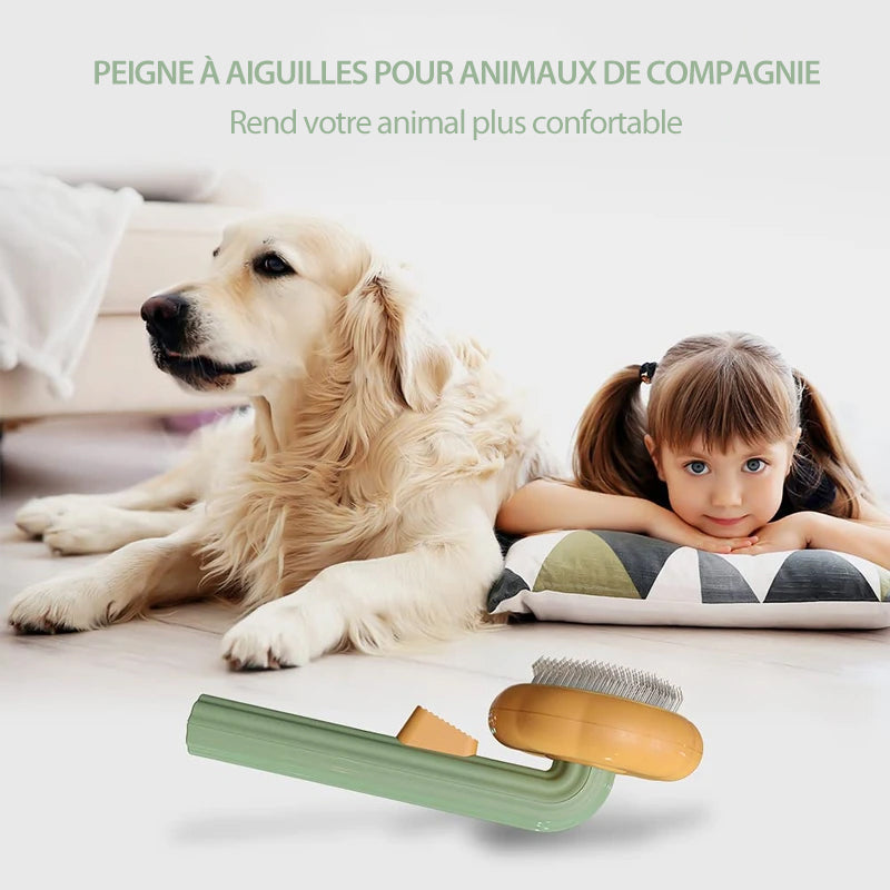 Pumpkin Comb Brush for Pets | Bowlift