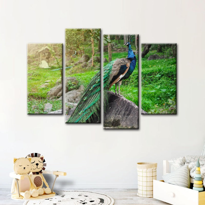 4 Piece Dignified Sunlit Peacock - Canvas Wall Art Painting | Bowlift