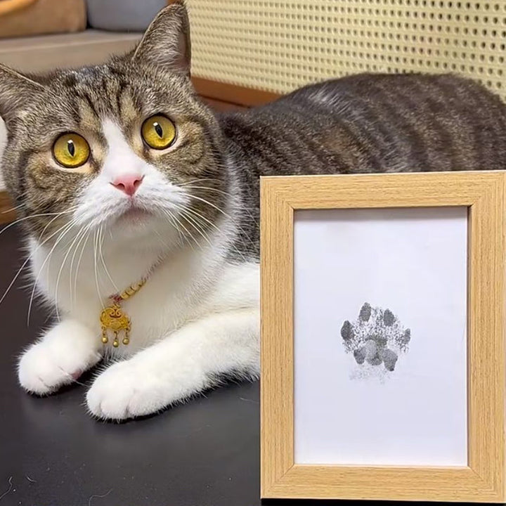 BowLift | Animal Paw Print Set