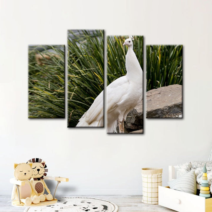 4 Piece Regal Albino Peacock - Canvas Wall Art Painting | Bowlift