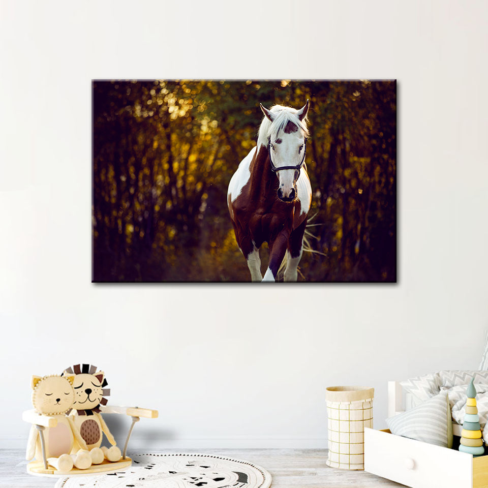 Courtly Overo Horse - Canvas Wall Art Painting | Bowlift