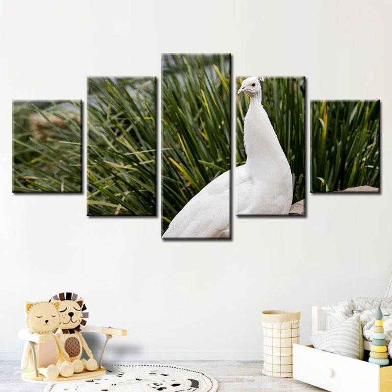 5 Piece Regal Albino Peacock - Canvas Wall Art Painting | Bowlift