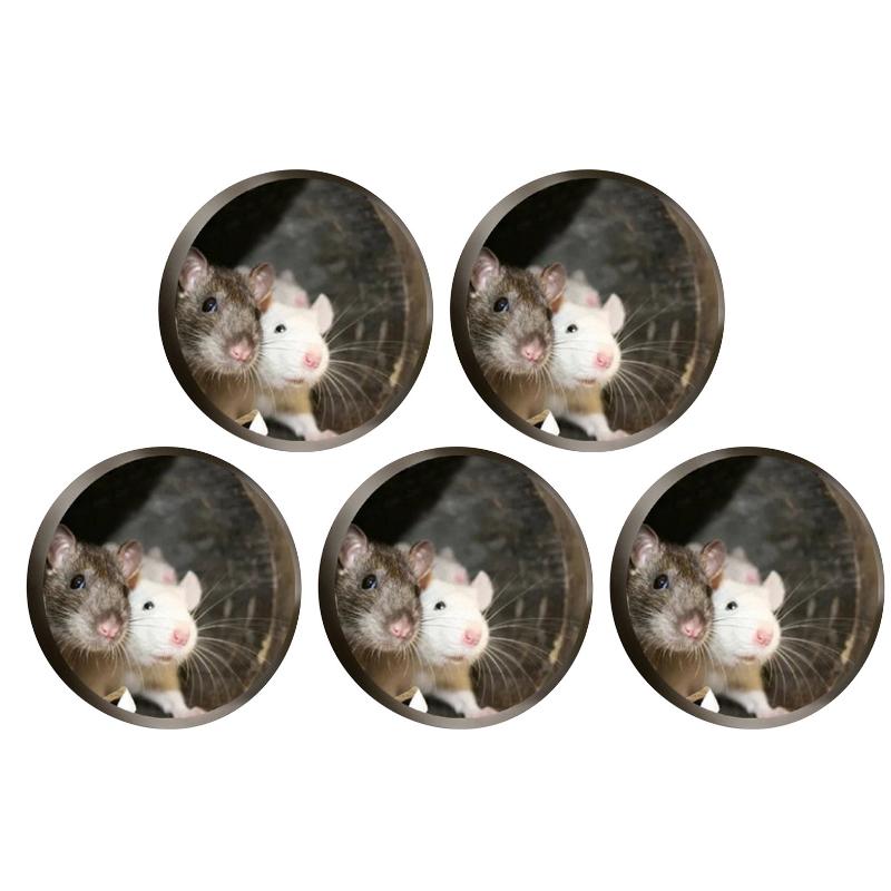 BowLift | Realistic 3D Mouse Hole Wall Sticker