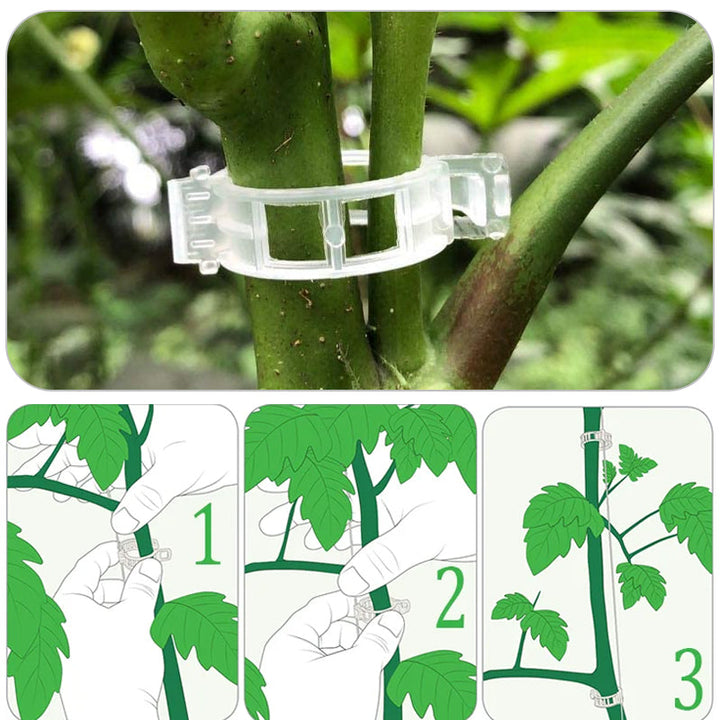 Plastic ring for holding plants | Bowlift