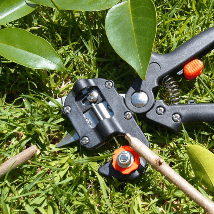 BowLift | Professional Garden Grafting Tool Set