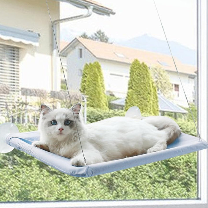 BowLift | Suction Cup Cat Hammock