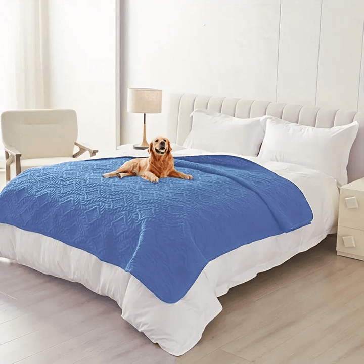 Versatile Moisture-Proof Dog Mat
