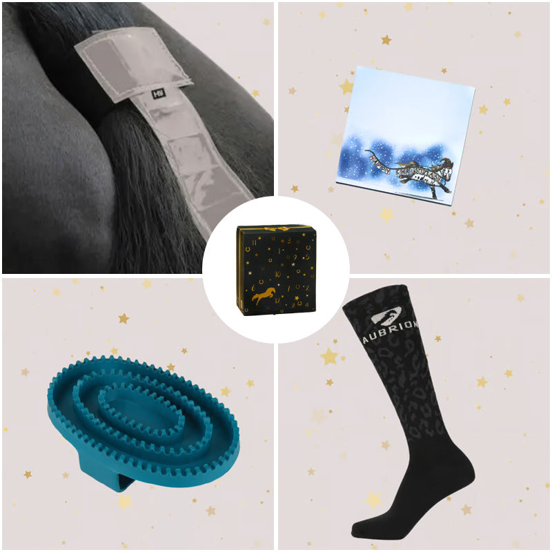 BowLift | Forelock and Fringe Advent Calendar 2024