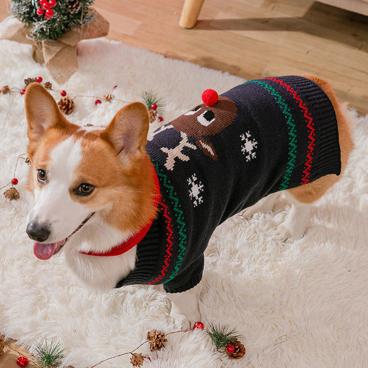 Warm Christmas clothing for pets | Bowlift
