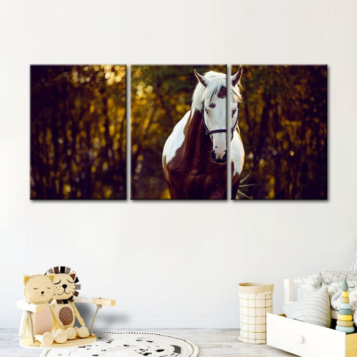 Courtly Overo Horse-Canvas Wall Art Painting 3 Pieces | Bowlift