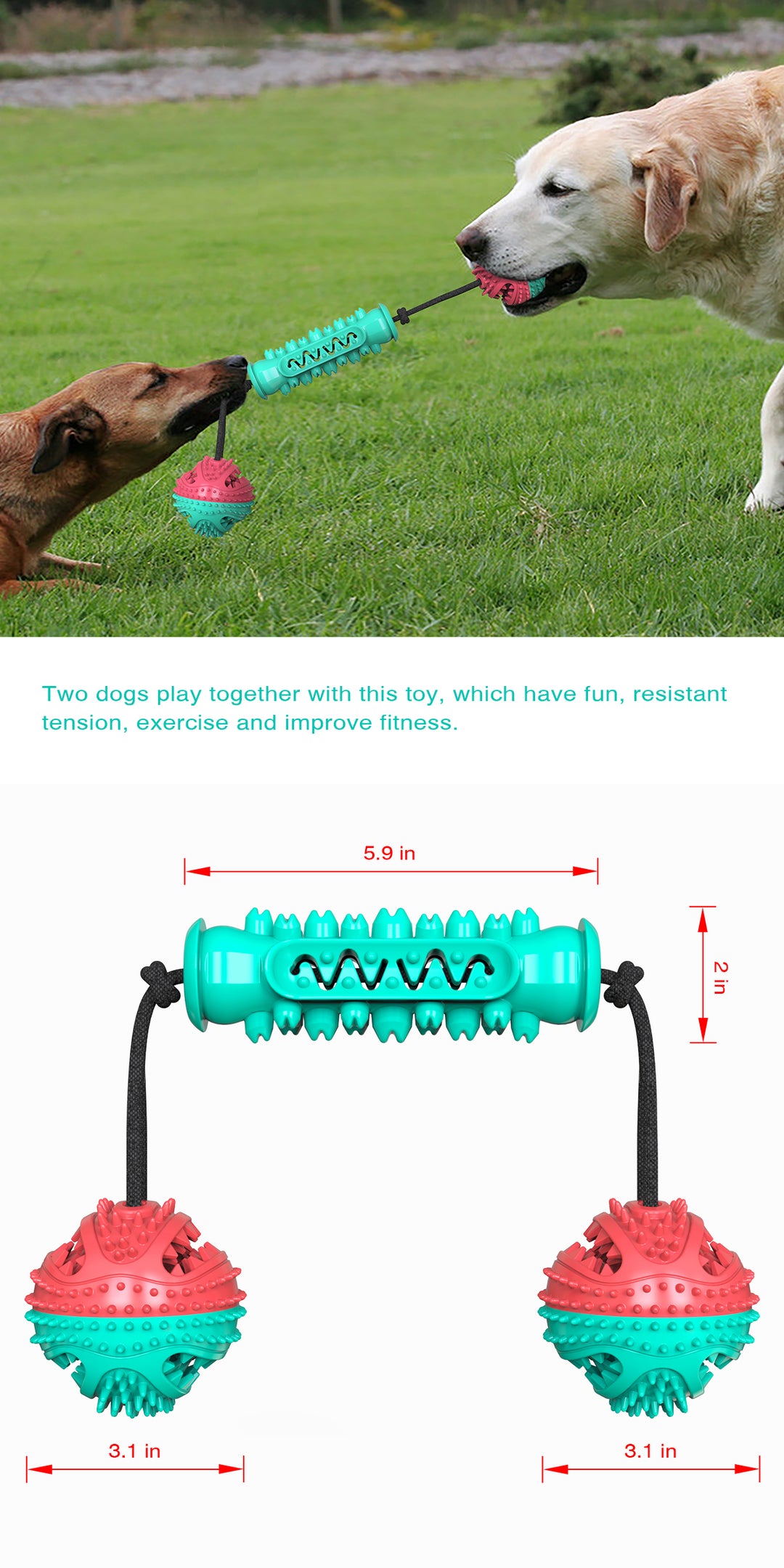 Dog Serrated Chew Toy / Dumbbell Style A / For Dogs