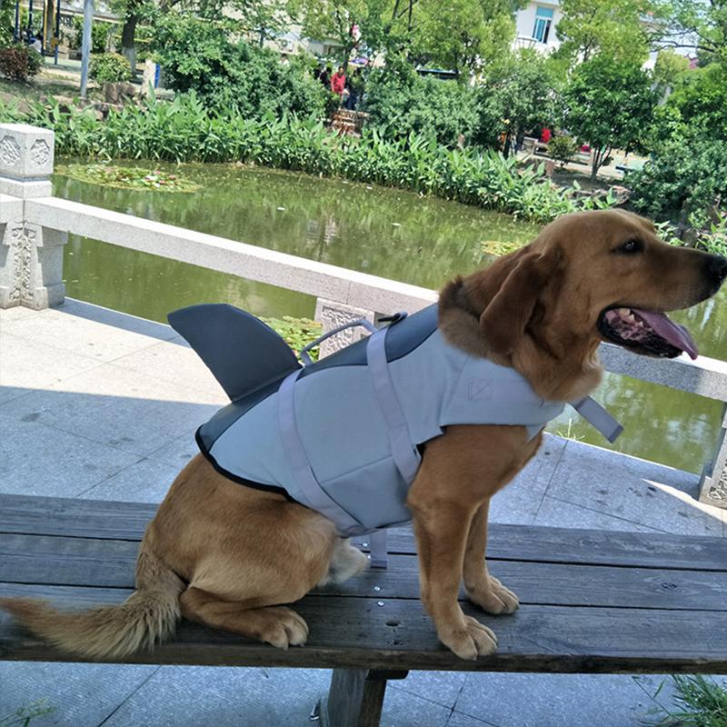 BowLift | Dog Swim Safety Jacket
