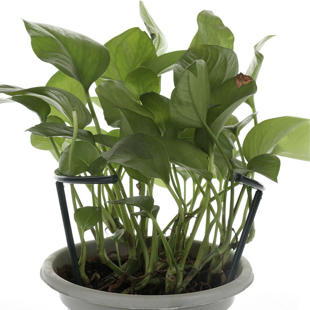 BowLift | Climbing support for plants – Robust holder with cage design for growth and stability