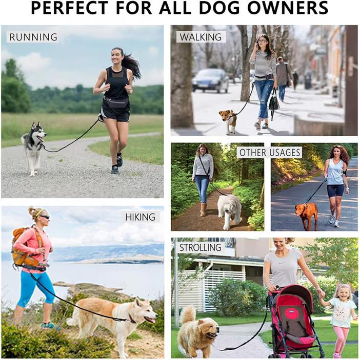 FlowLeash — Experience gentle control and relaxed walks without jerks! | Bowlift
