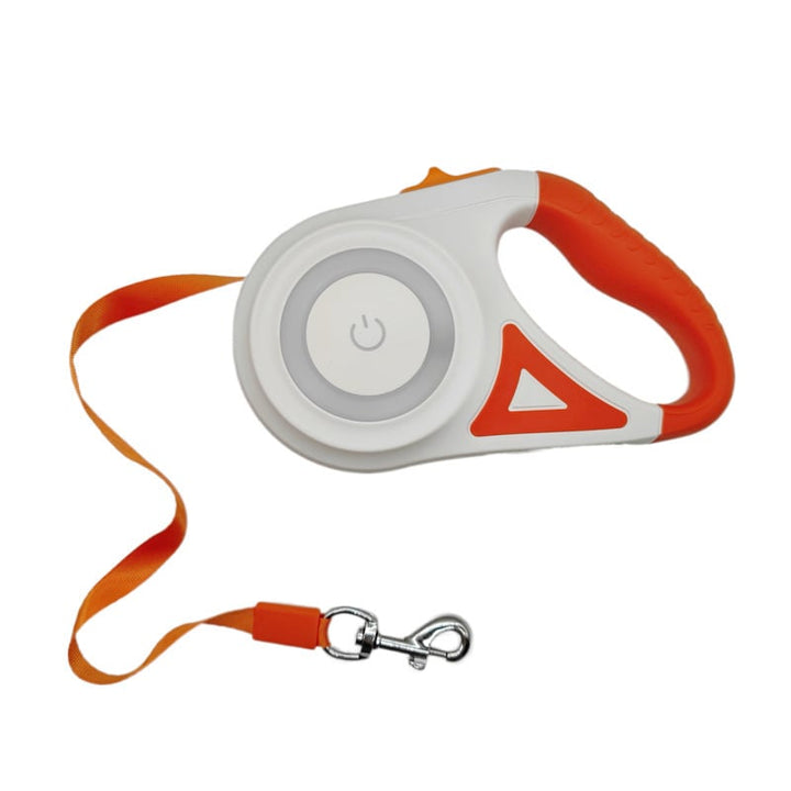 BowLift | Luminous lead for pets