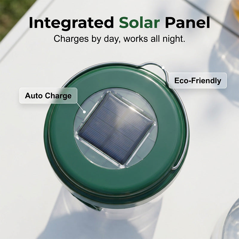 Solar powered wasp trap with LED lure | Bowlift