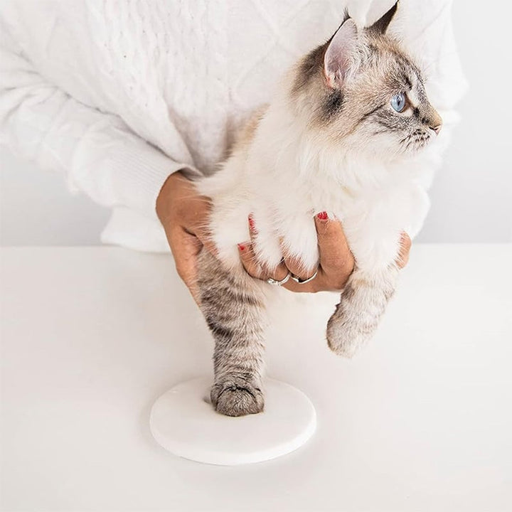BowLift | Clay Pet Paw Impression Moulding Kit