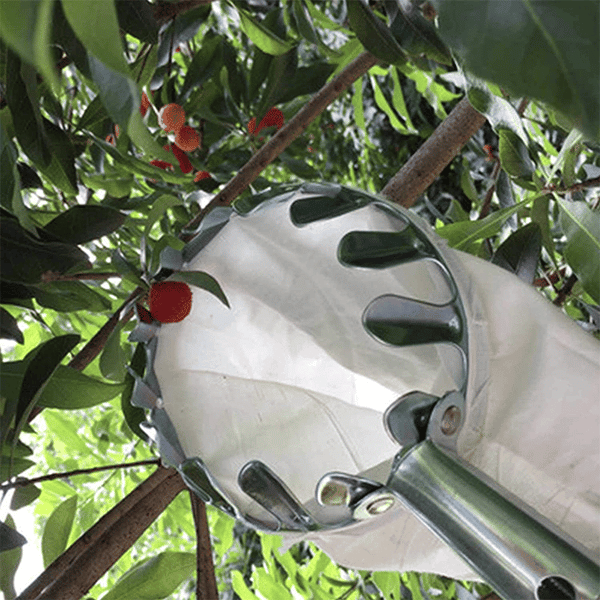 BowLift | Fruit Picker Head Basket