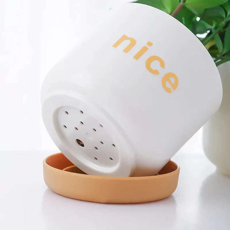 BowLift | Modern Self Watering Planters for Office and Home