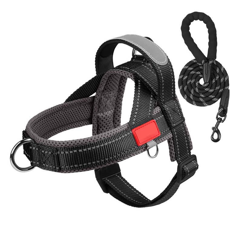 PawEase Comfort Harness — Relaxed Dressing and Unlimited Freedom for Your Dog | Bowlift