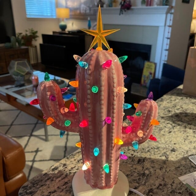 BowLift | Vintage Christmas Luminous Cactus