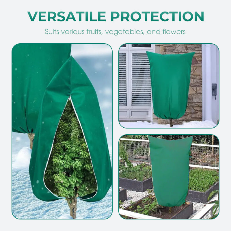 BowLift | CozyPlant – Protect your plants from winter cold and help them thrive