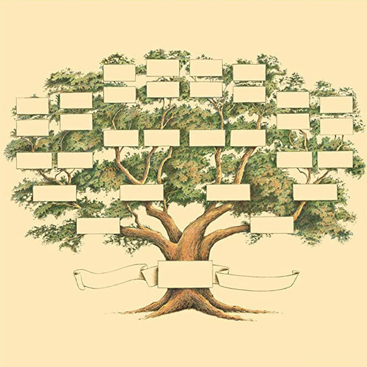BowLift | Family history family tree canvas