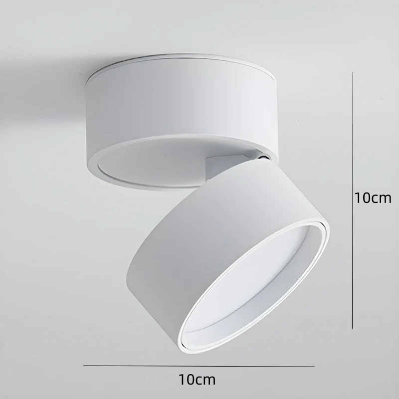BowLift | LED Ceiling Light with Adjustable Spotlight Head