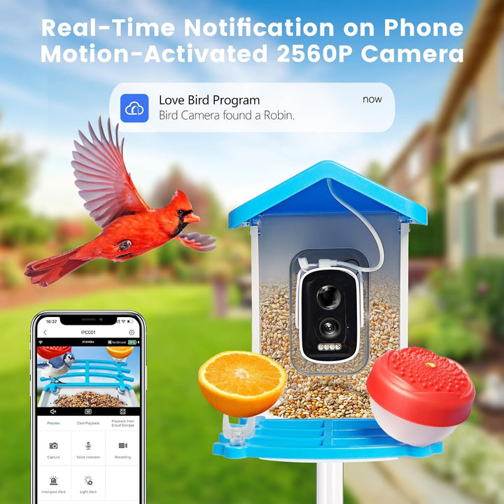 Smart Bird Feeder with Solar Camera – AI Bird Recognition & Night Vision | Bowlift