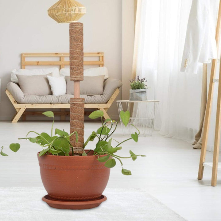 BowLift | Coconut moss stick for climbing plants – Natural climbing aid for houseplants and garden