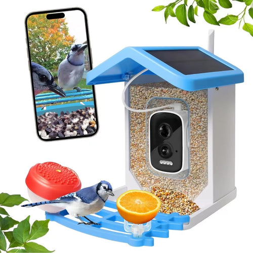 Smart Bird Feeder with Solar Camera – AI Bird Recognition & Night Vision | Bowlift