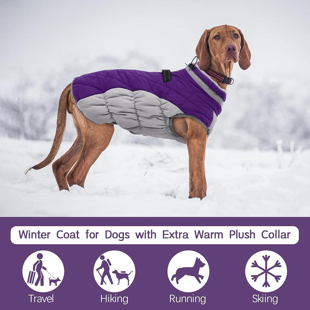 BowLift | SafeWalk Winter Harness Jacket – Waterproof dog jacket with reflection and fleece lining