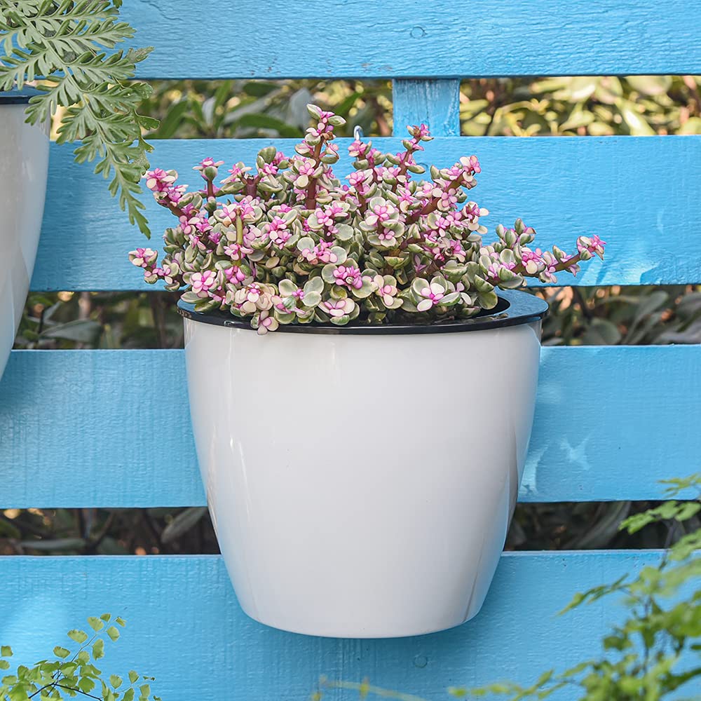 BowLift | Self-watering hanging plant pot – Modern flower pot for wall mounting