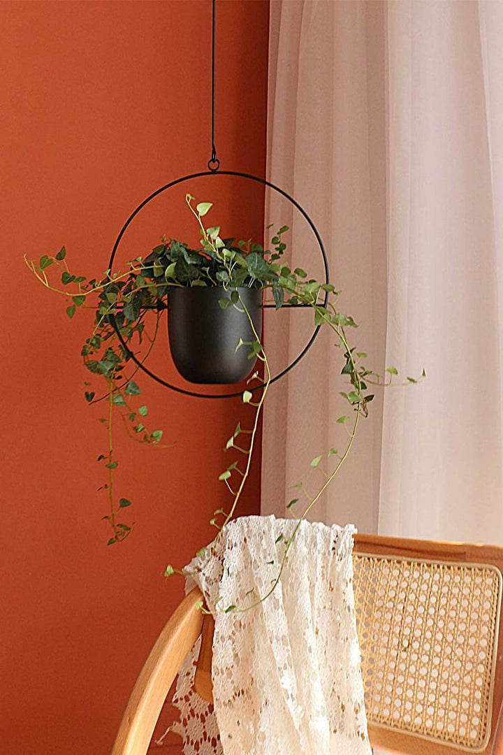 HaloRing Hanging Plant Holder – Metal Hanging Planter for Indoor and Outdoor | Bowlift