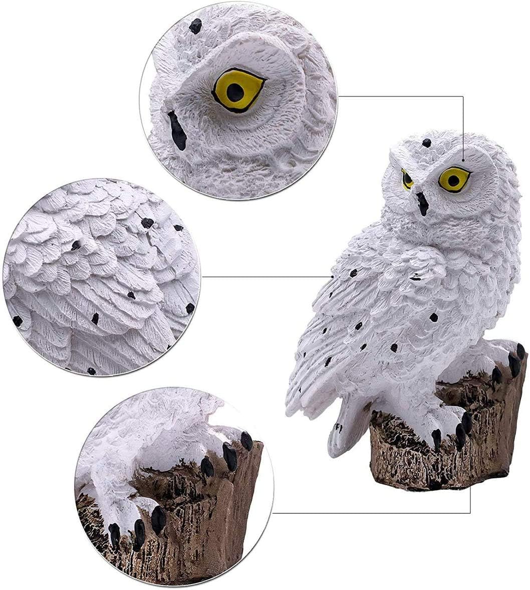 BowLift | SolarGlow Garden Lamp | Eco-friendly solar lamp for a vibrant outdoor ambiance