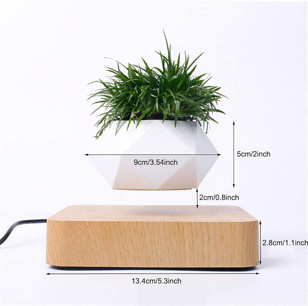 BowLift | Levitating Plant Pot – Magnetic Floating Planter