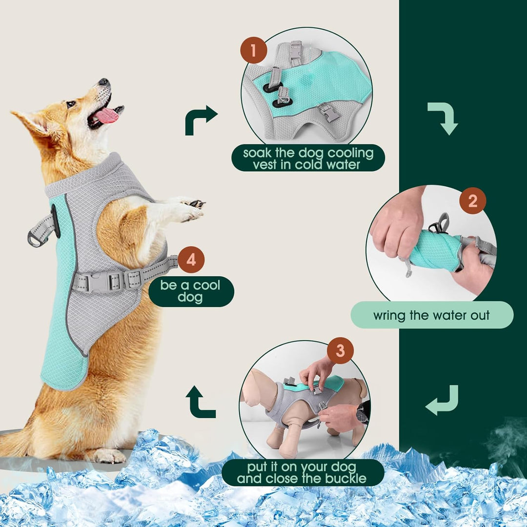 BowLift | Summer Reflective Dog Cooling Vest & Quick-Release Harness