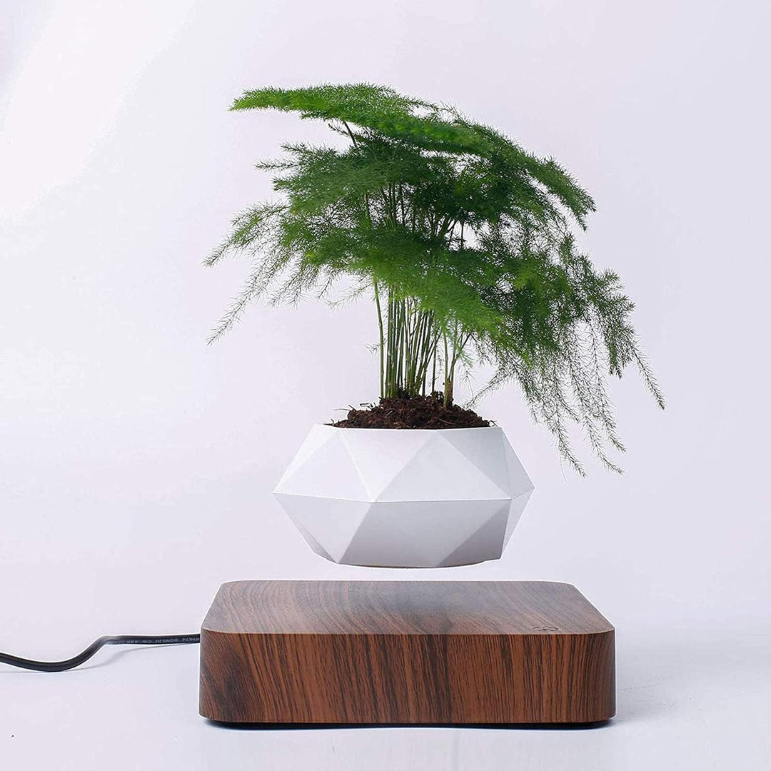 BowLift | Levitating Plant Pot – Magnetic Floating Planter