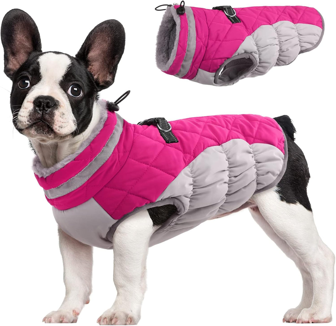 BowLift | SafeWalk Winter Harness Jacket – Waterproof dog jacket with reflection and fleece lining