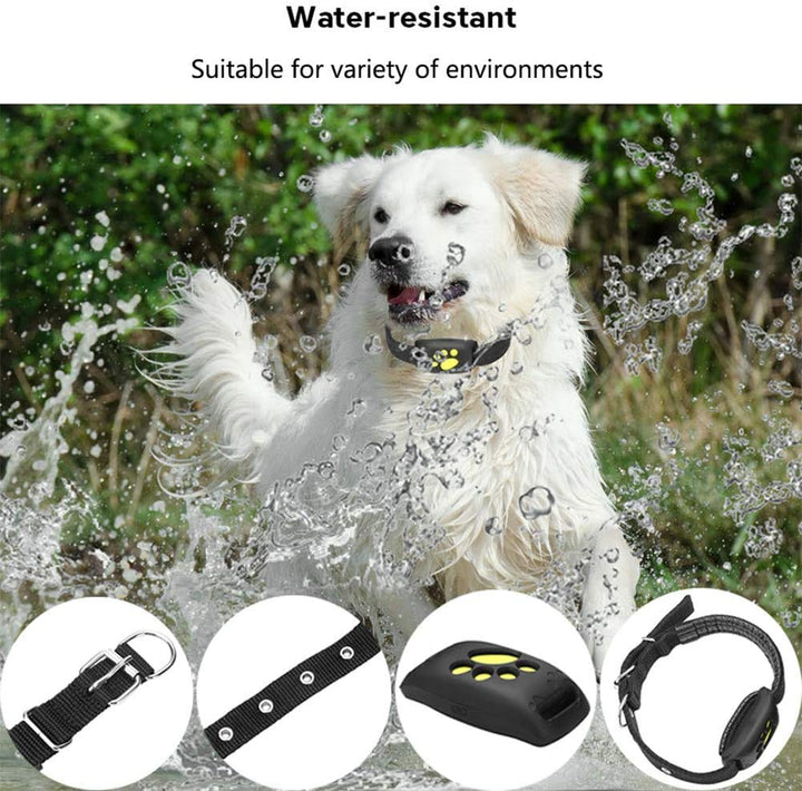 BowLift | Smart GPS Pet Collar with Real-Time Tracking, Geo-Fence Alerts & Sleep Mode for Cats and Dogs