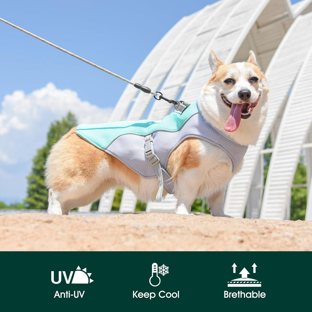 BowLift | Summer Reflective Dog Cooling Vest & Quick-Release Harness