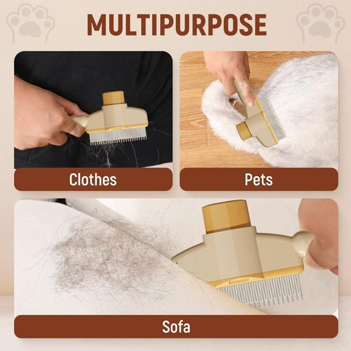 BowLift | FleaFree Fur-Friendly Defense